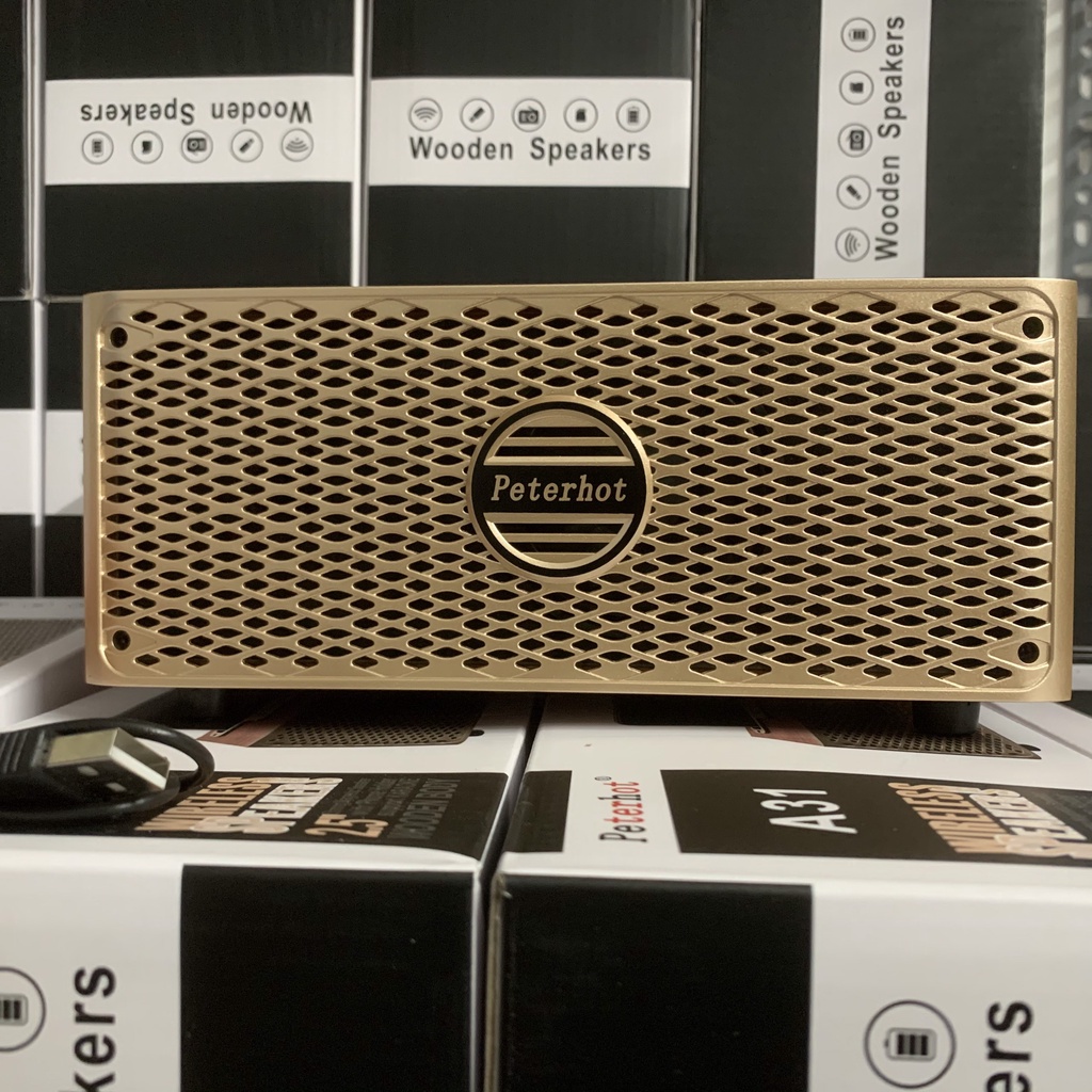 Loa Bluetooth Kèm Mic A31 hát karaoke hoặc dùng giảng dạy