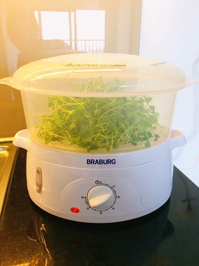 Nồi Hấp Điện Đa Năng 3 Tầng Braburg
