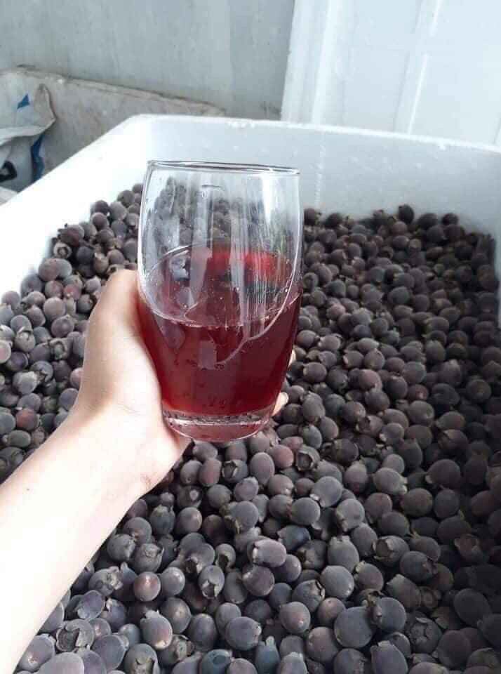 1 kg quả sim rừng phơi khô
