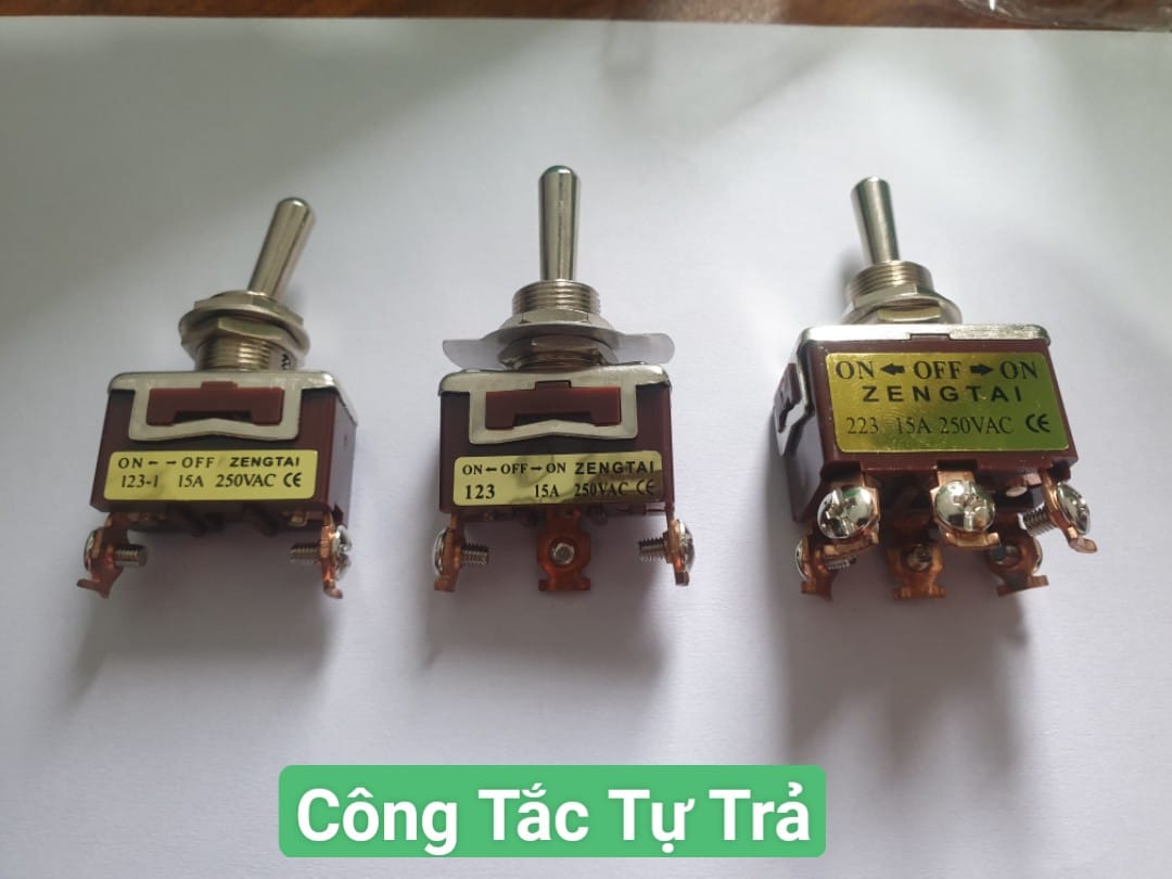 Công tắc gạt tự trả 2 chân 3 chân và 6 chân