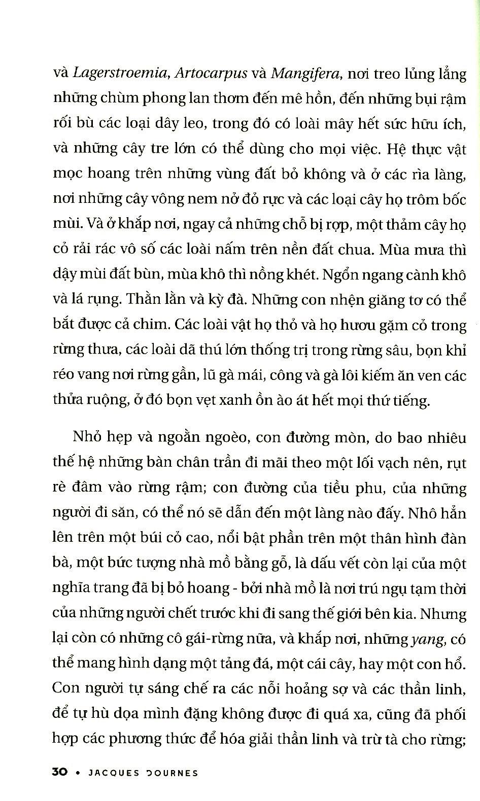 Sách - Rừng, đàn bà, điên loạn