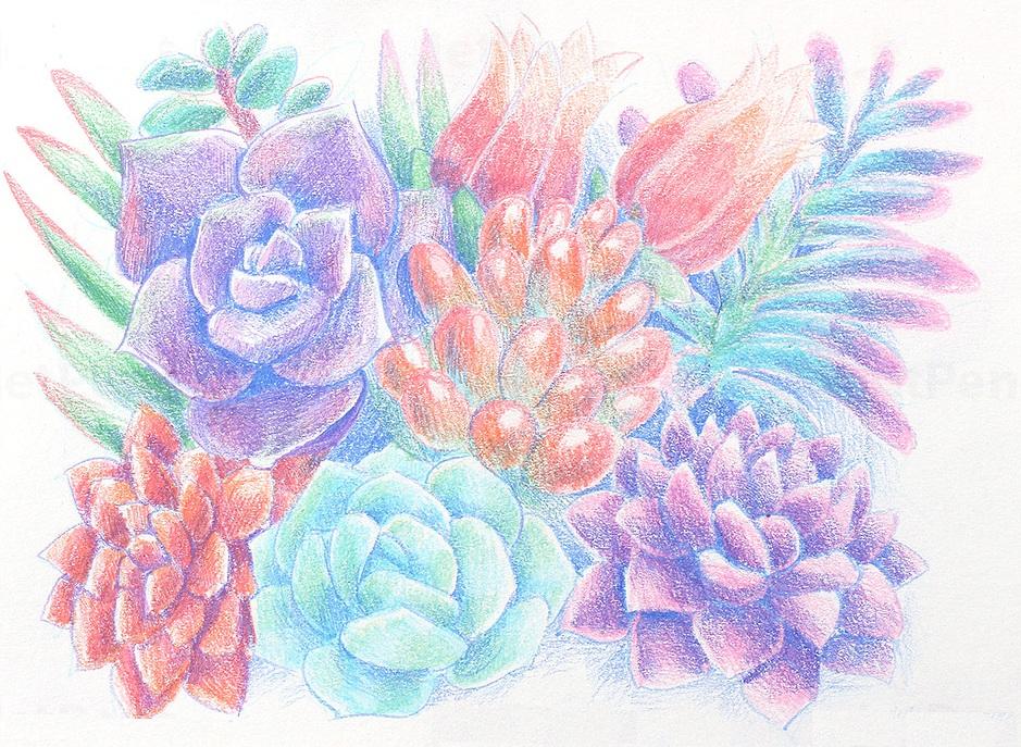 Hộp ngòi Chì Kim Uni Nano Dia Color