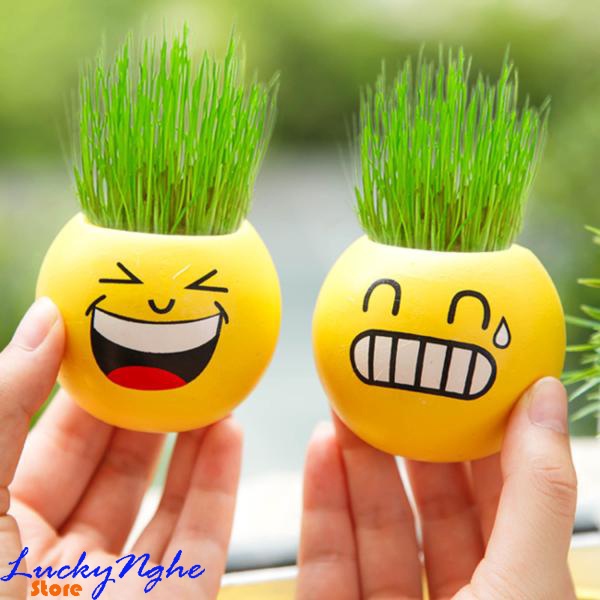 Chậu Hạt Giống Để Bàn Mini Mặt Cười