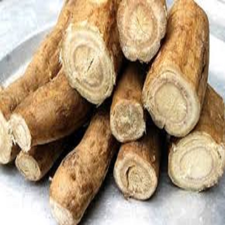 CÂY GIỐNG SẮN DÂY TA CAO SẢN