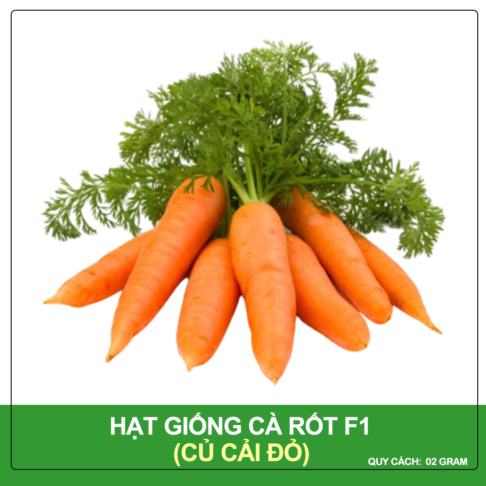 Hạt Giống Cà Rốt New Kuroda Phú Nông Gói 2 Gram
