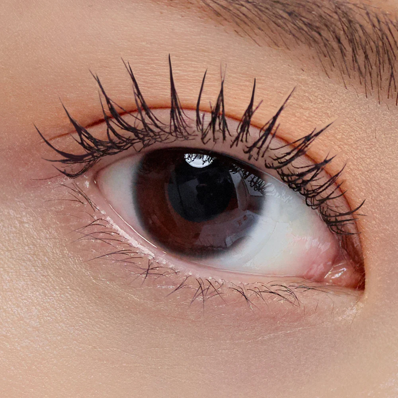 [Săn Sale] Mascara Chải Mi Clio Kill Lash Superproof Mascara 7G