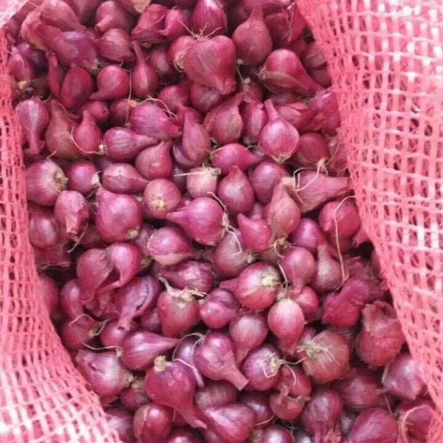 [miễn ship ] hành tím và tỏi Lý Sơn