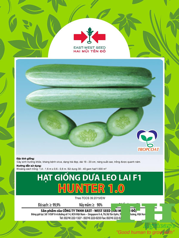 Hạt Giống Dưa Leo Lai F1 Hunter 1.0 Hai Mũi Tên Đỏ Gói 35 Hạt  Trồng Được Quanh Năm | TH-AGRICARE