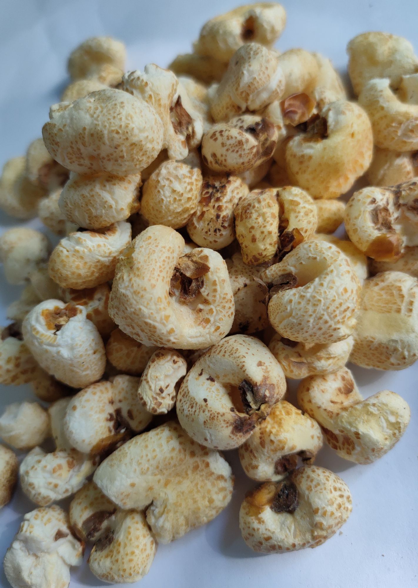Bắp nổ- thức ăn cho hamster,thú cưng (50gr)