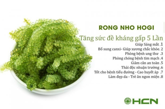 Rong nho tách nước Bảo Châu