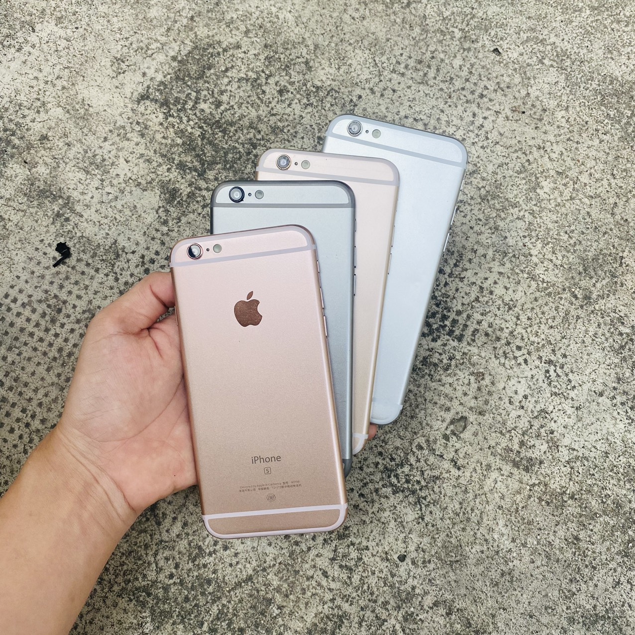 Mô hình trưng bày ip 6S đủ màu chuẩn đẹp