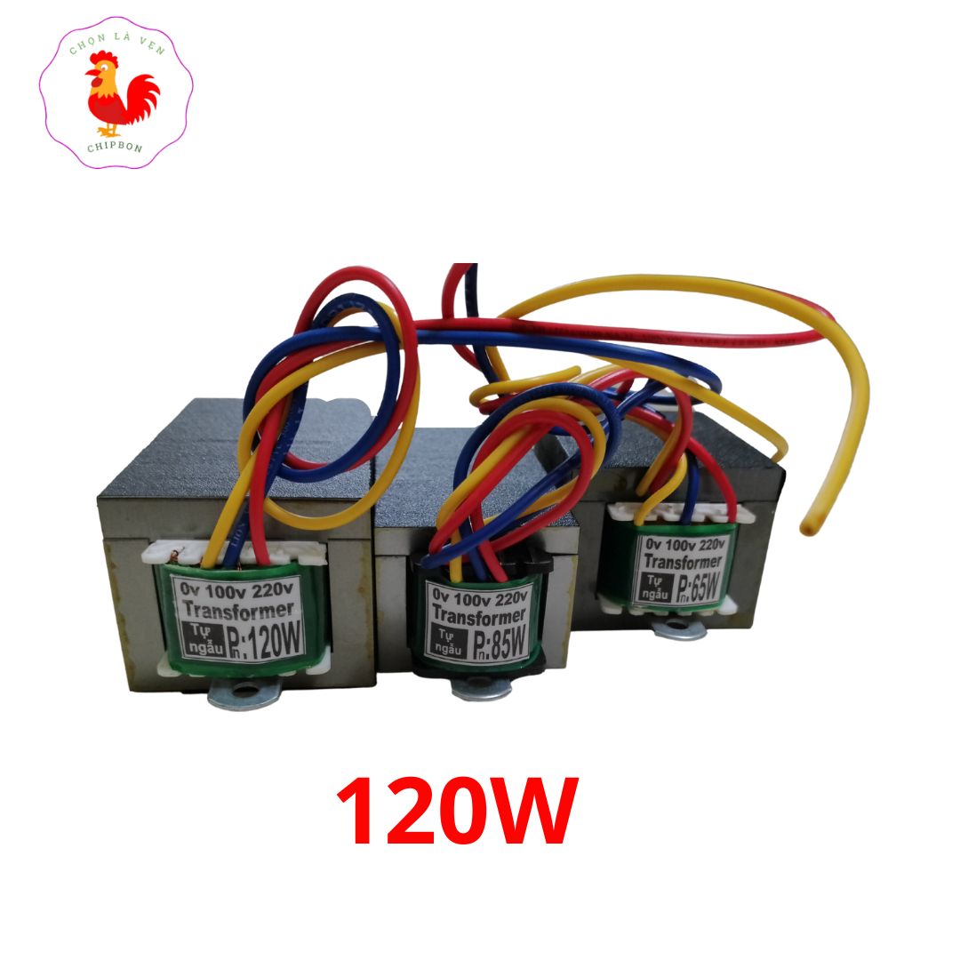 220v to 110v 120w power adapter