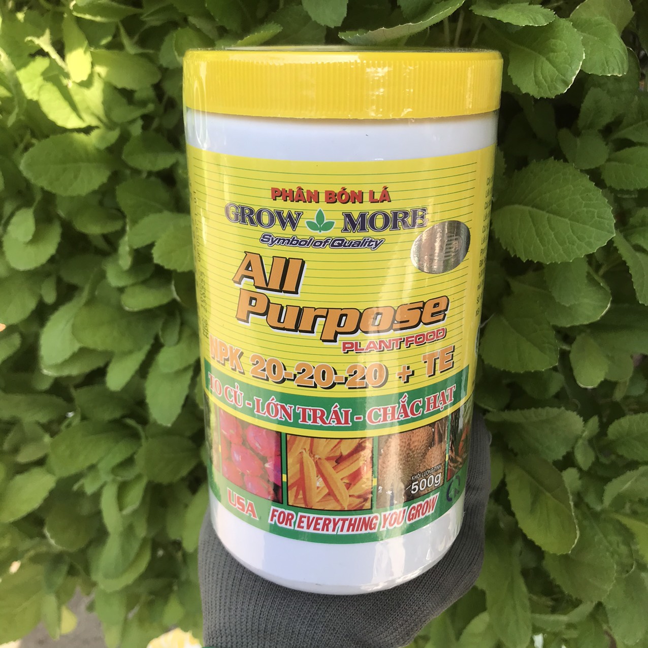 Phân NPK 20-20-20 +TE growmore 500gam