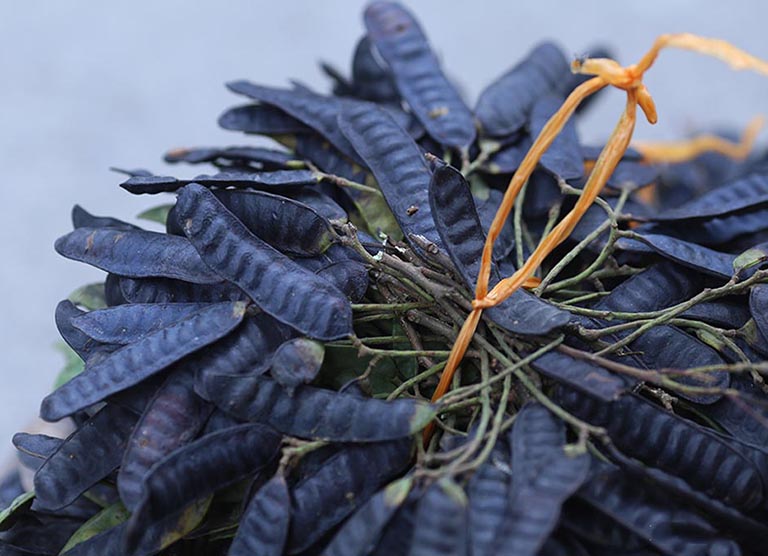 Quả bồ kết tự nhiên