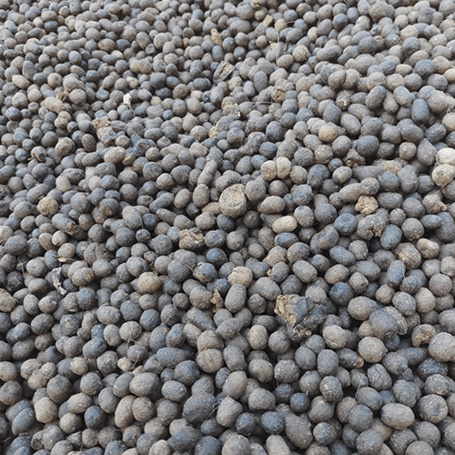 1kg phân dê BÓN LAN ĐÃ QUA XỬ LÝ