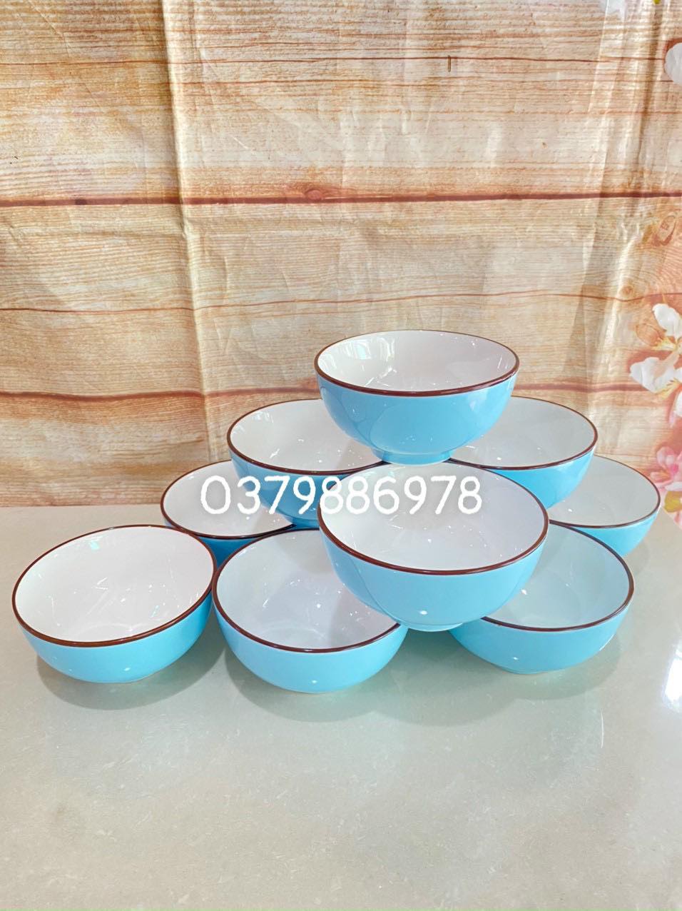 Bộ 10 chén sứ ăn cơm màu xanh pastel cao cấp