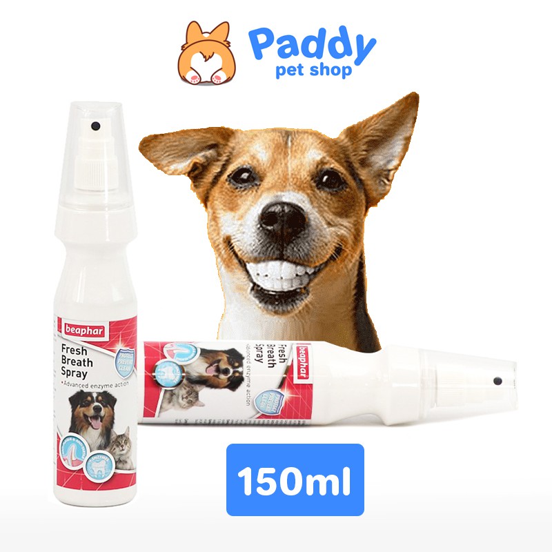 [HCM]Xịt Vệ Sinh Răng Miệng Chó Mèo Beaphar Fresh Breath 150ml