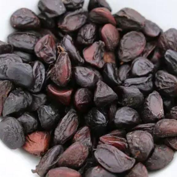 500g hạt dổi rừng