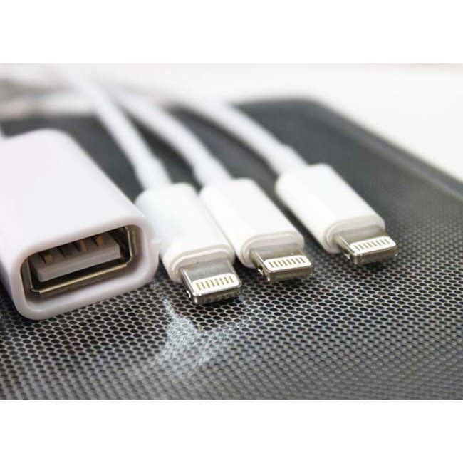 Cáp Lightning USB OTG Cho iPad 4 iPad Mini iPhone 5