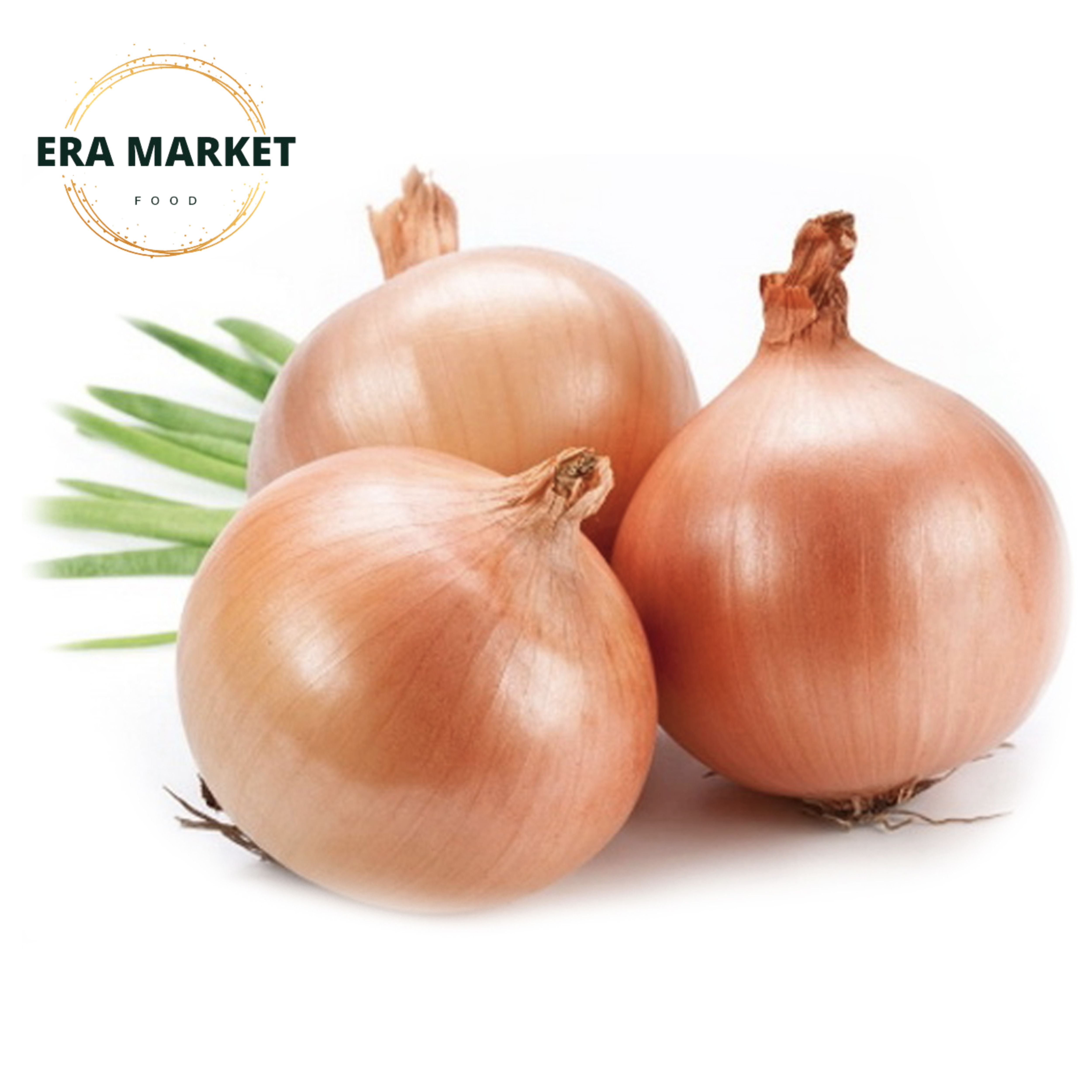 HCM - Củ hành tây (1kg)