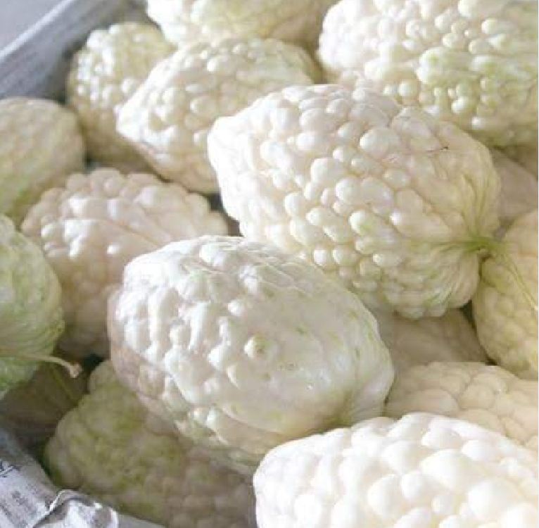 "Gói 5 Hạt " Hạt giống mướp đắng trắng (mướp đắng bạch tuyết)