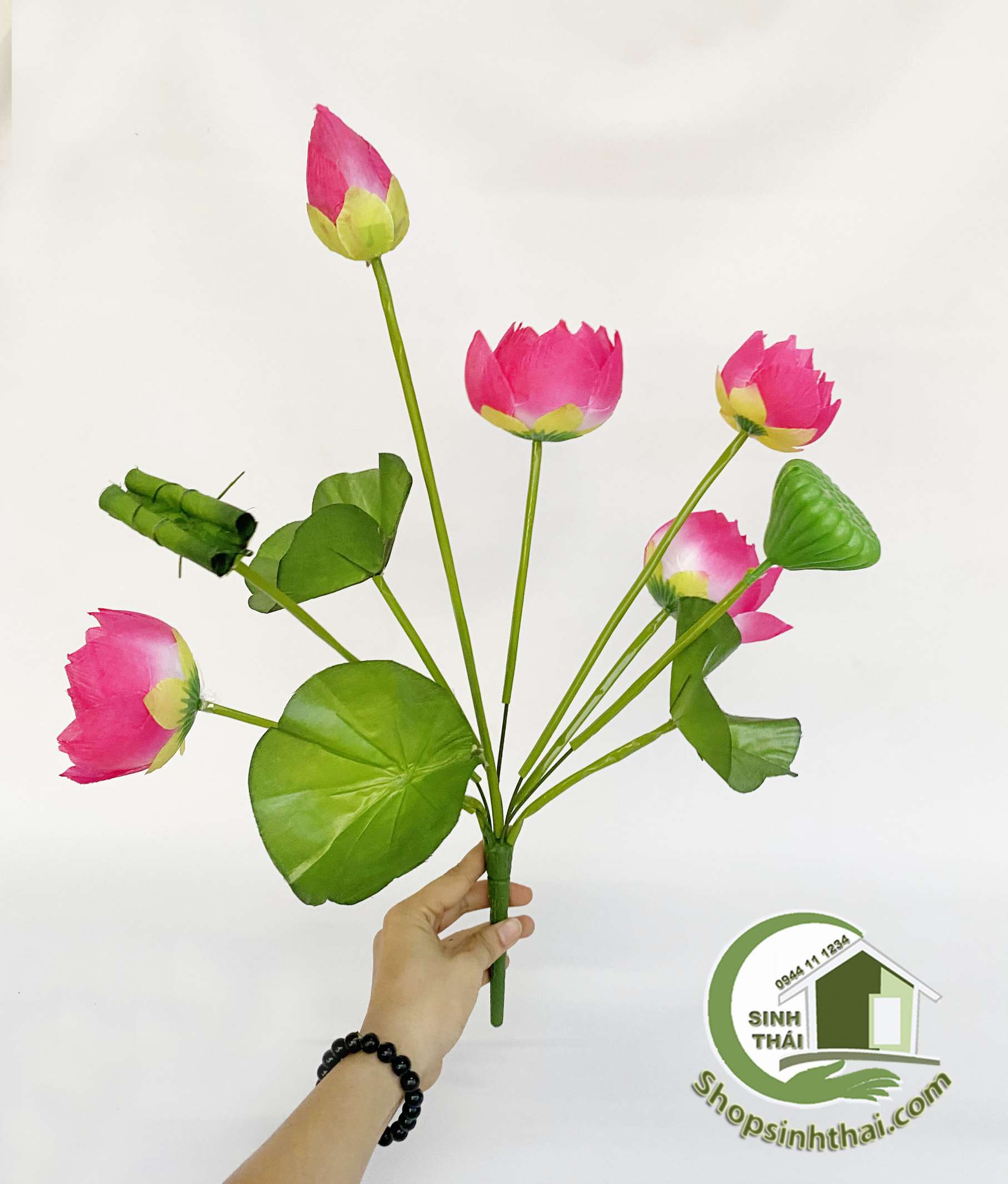 Hoa sen giả - Bụi sen lá cuốn lớn
