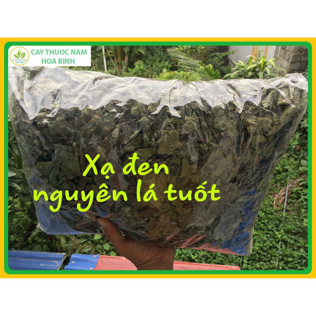 [Nguyên lá] 1kg lá xạ đen 100% nguyên lá tuốt Hòa Bình khô giòn đẹp mới