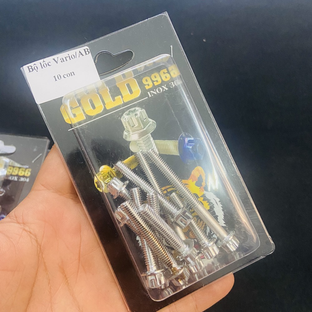 BỘ ỐC LỐC MÁY SALAYA CHO SATRIA, RAIDER FULL