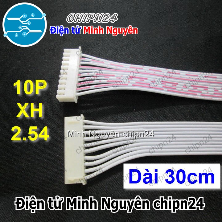 [1 sợi] (P30) Dây bẹ trắng 10P XH2.54mm 2 đầu cắm dài 30cm - HH001140