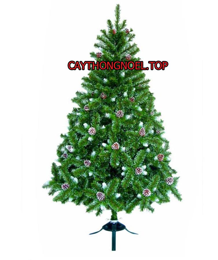 Cây thông noel 3 loại lá gắn trái thông 2m1- TẶNG 5 dây kim tuyến 1 ngôi sao