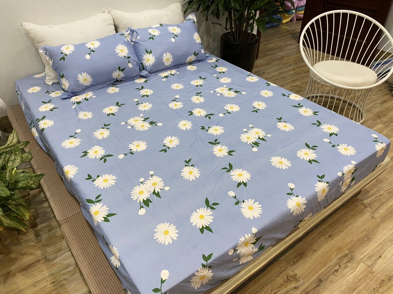 [Ga giường]Ga trải giường,Drap ga giường,ga bọc đệm vải cotton poly 1m2,1m4,1m5,1m6,1m8,2m2 mẫu cúc hoạ mi xanh