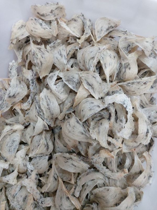 yến sào KING giá rẻ