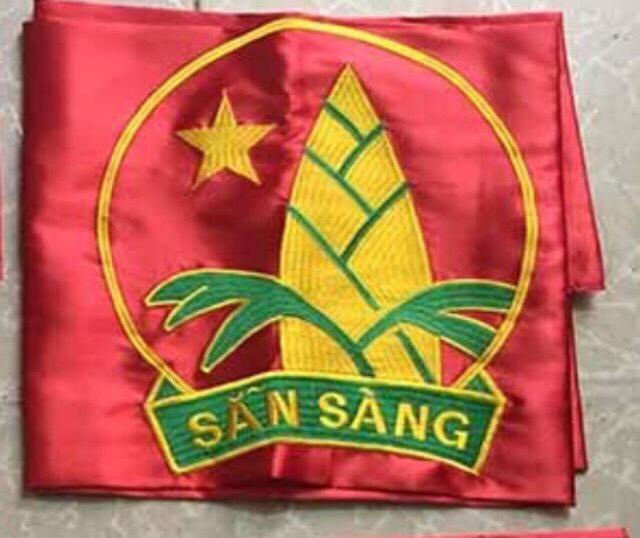 cờ đoàn - đội