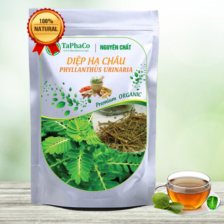 Diệp hạ châu sấy khô 500g - tấn phát