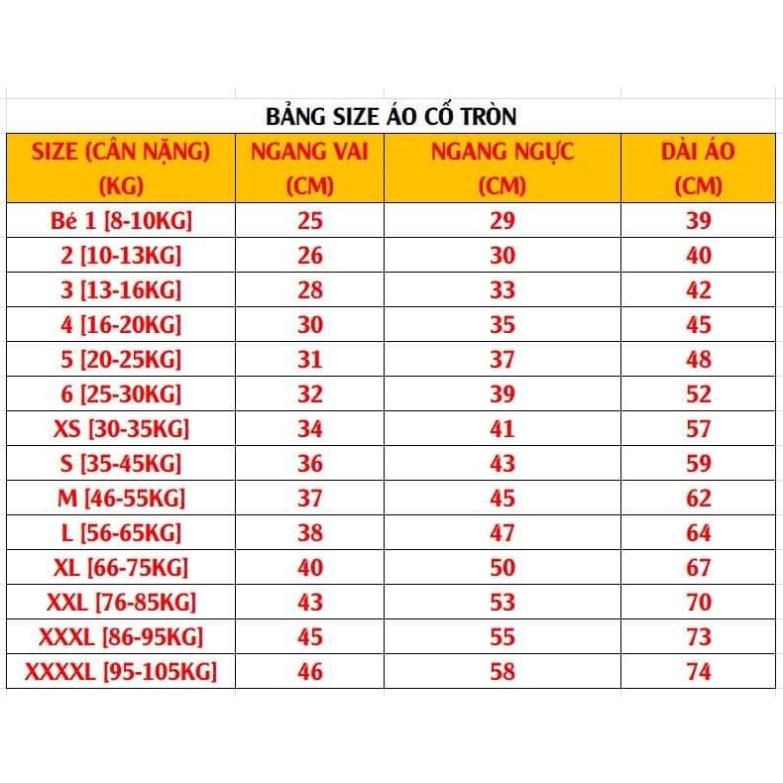 Áo gia đình Tết .