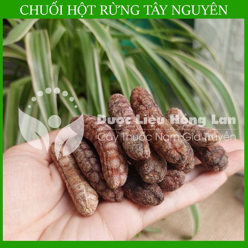 Chuối Hột Rừng tây nguyên khô gói 1kg