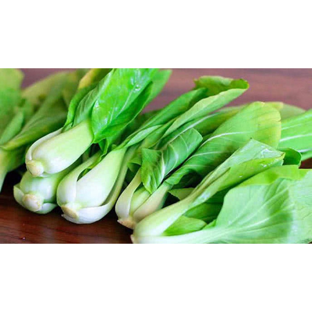 Hạt Giống Cải Chíp - 100 hạt