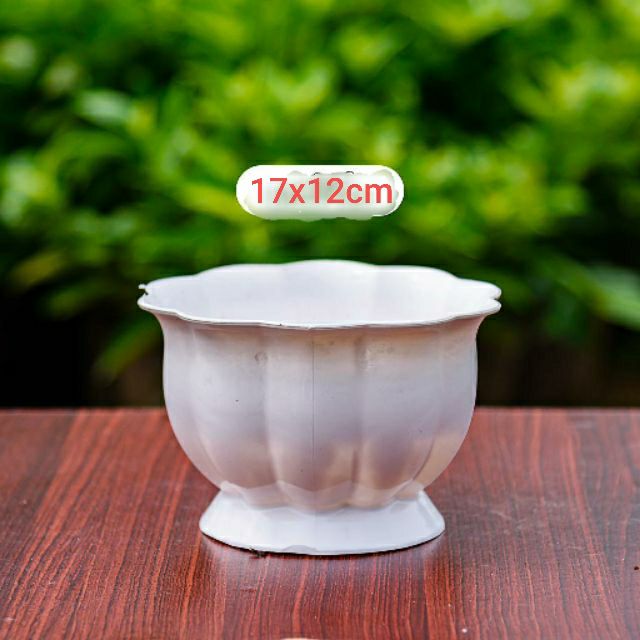combo 2 chậu trái bí dễ thương