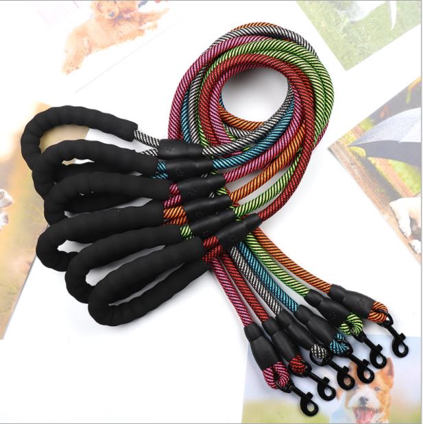 Power-Assisted Leash for Dogs with Large Hooks