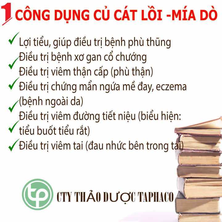 [Hàng mới về] Củ cát lồi sấy khô 1kg - Thảo Dược Tấn Phát - Chuyên dùng để sắc nước và pha trà hỗ trợ thanh nhiệt và giải độc cực kỳ hiệu quả