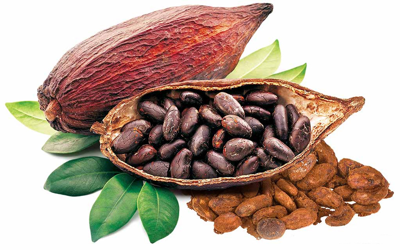 Bột ca cao hữu cơ 32% Cacao 400gr -  Kaoka