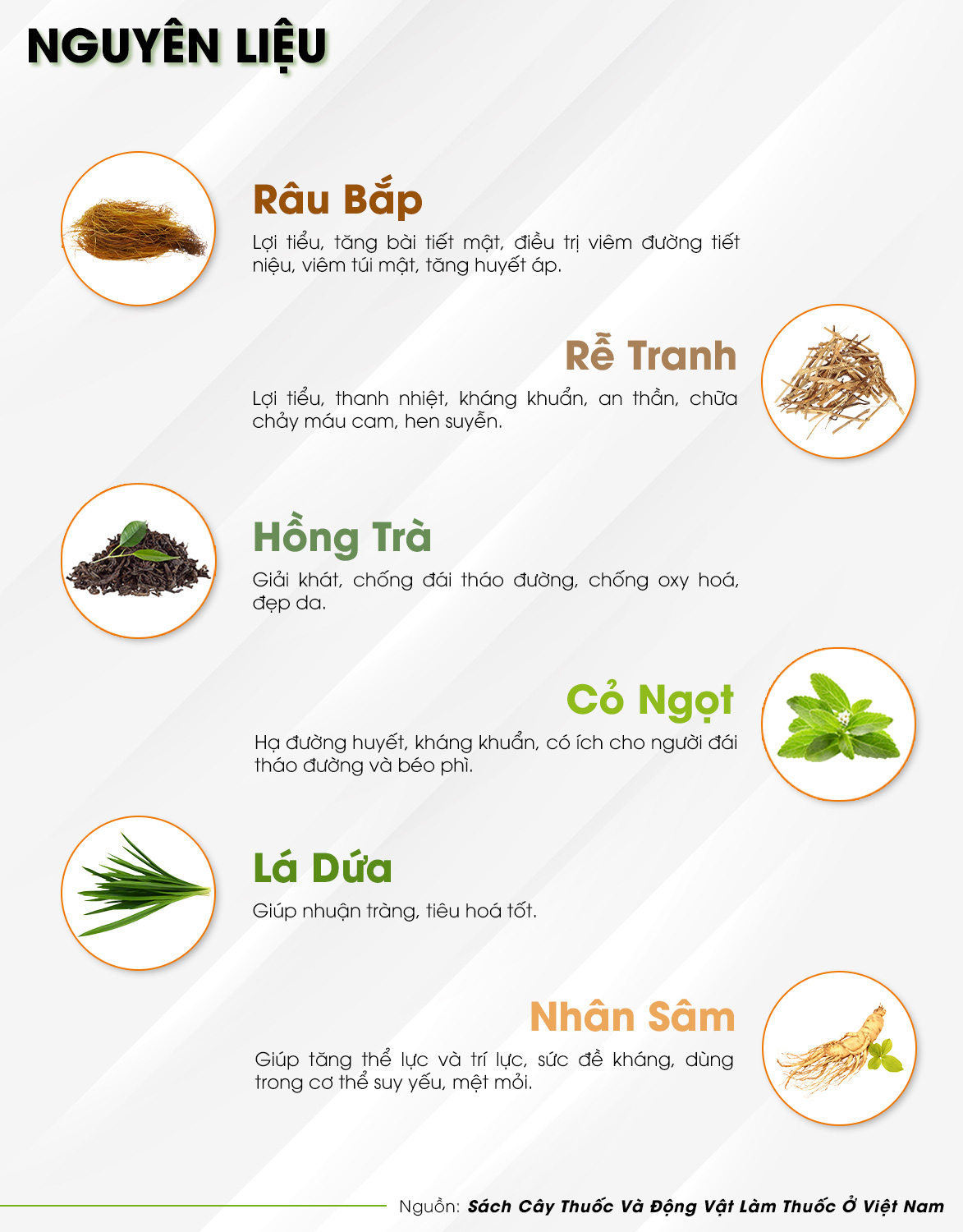 TRÀ RÂU BẮP (Mát Gan, Thanh Nhiệt)  -  Trà Hùng Phát