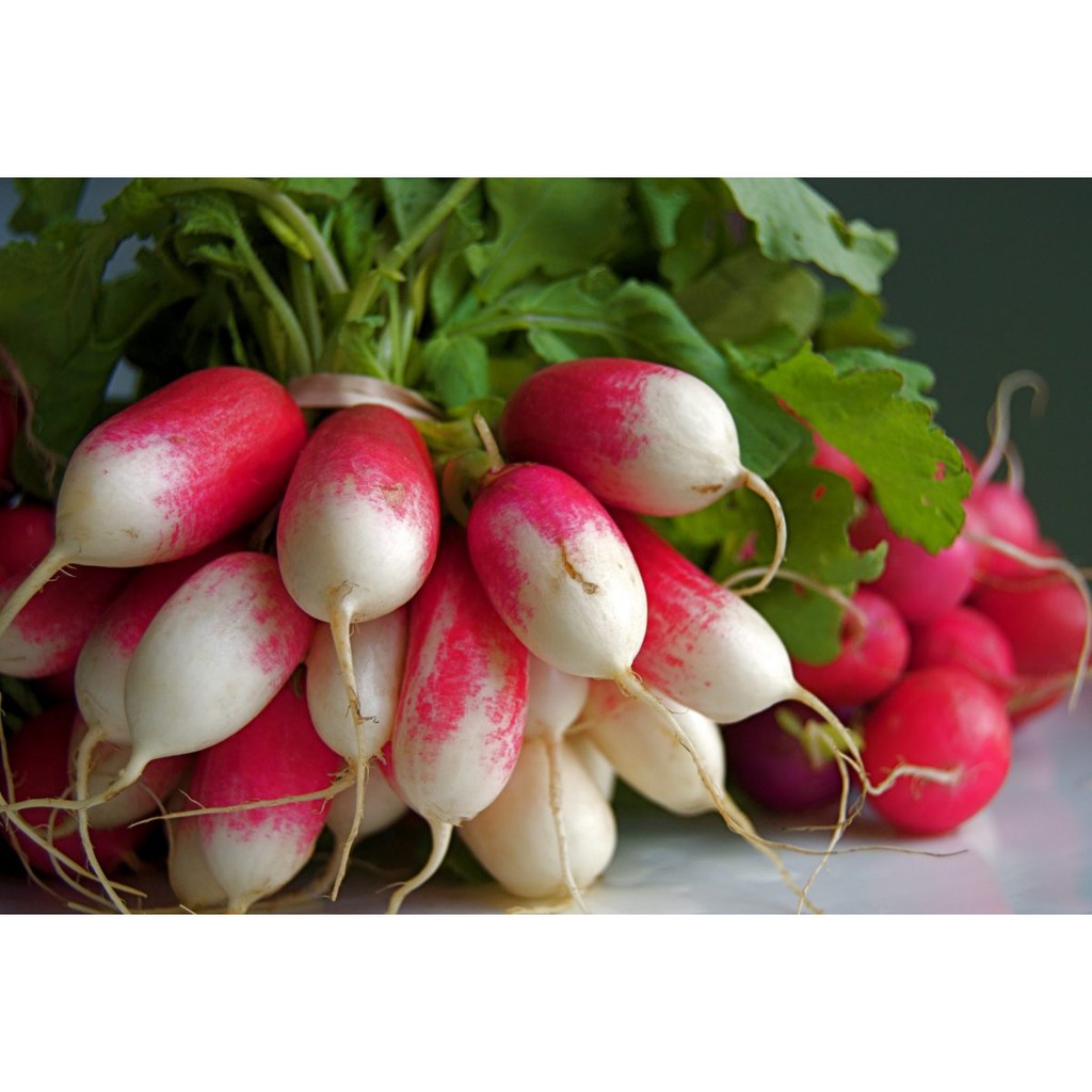 Hạt Giống Củ Cải Trắng Hồng Rạng Đông 1gram