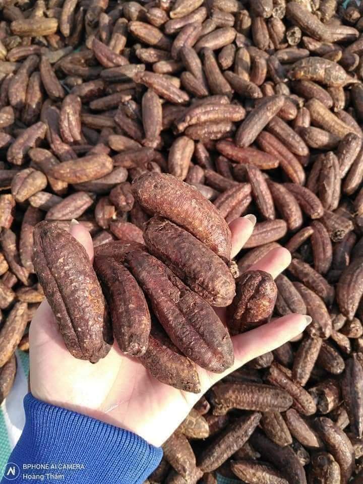 Chuối hột rừng (1kg), chuối mật khô, chuối rừng chín cây ngâm ngọt và rất thơm, đau lưng, sỏi thận