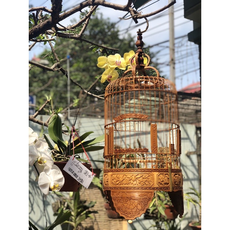 Lồng Chim Khuyên Lồng Chim Đục Bằng Tre Đẹp