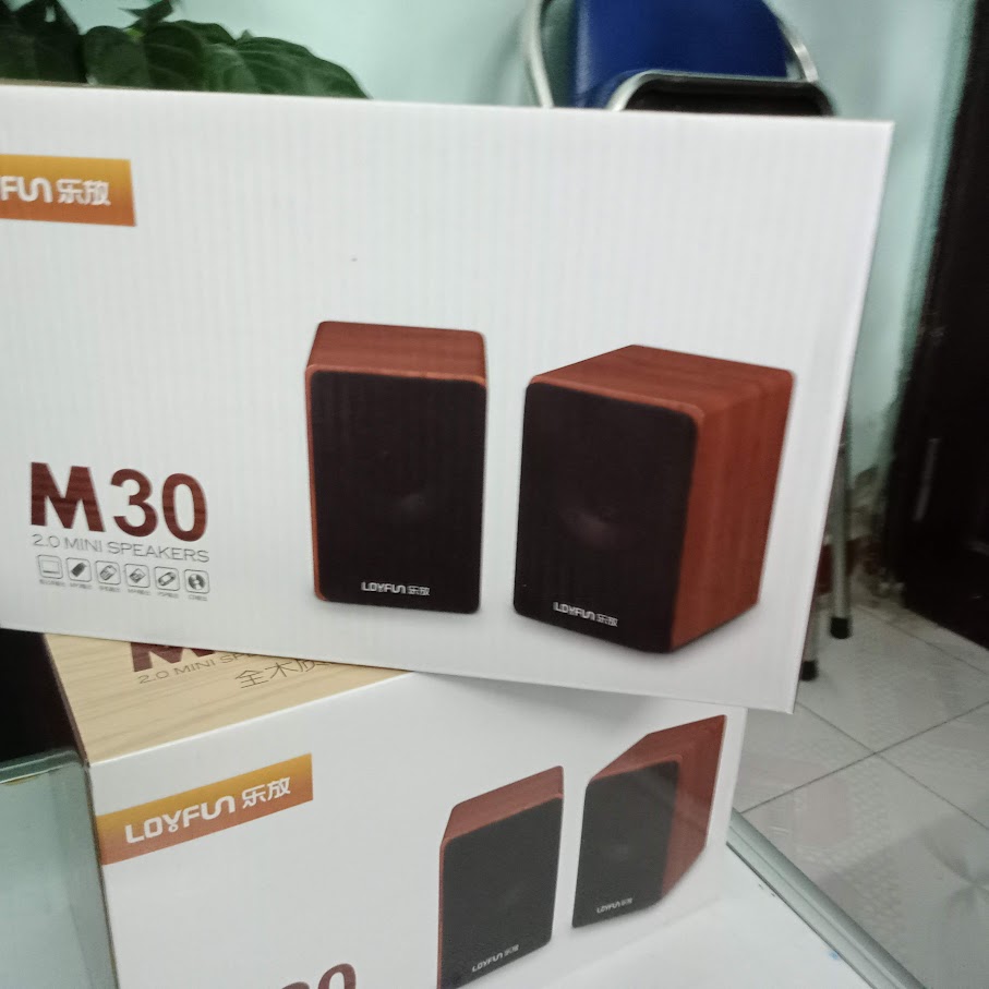Loa 2.0 Loyfun M30