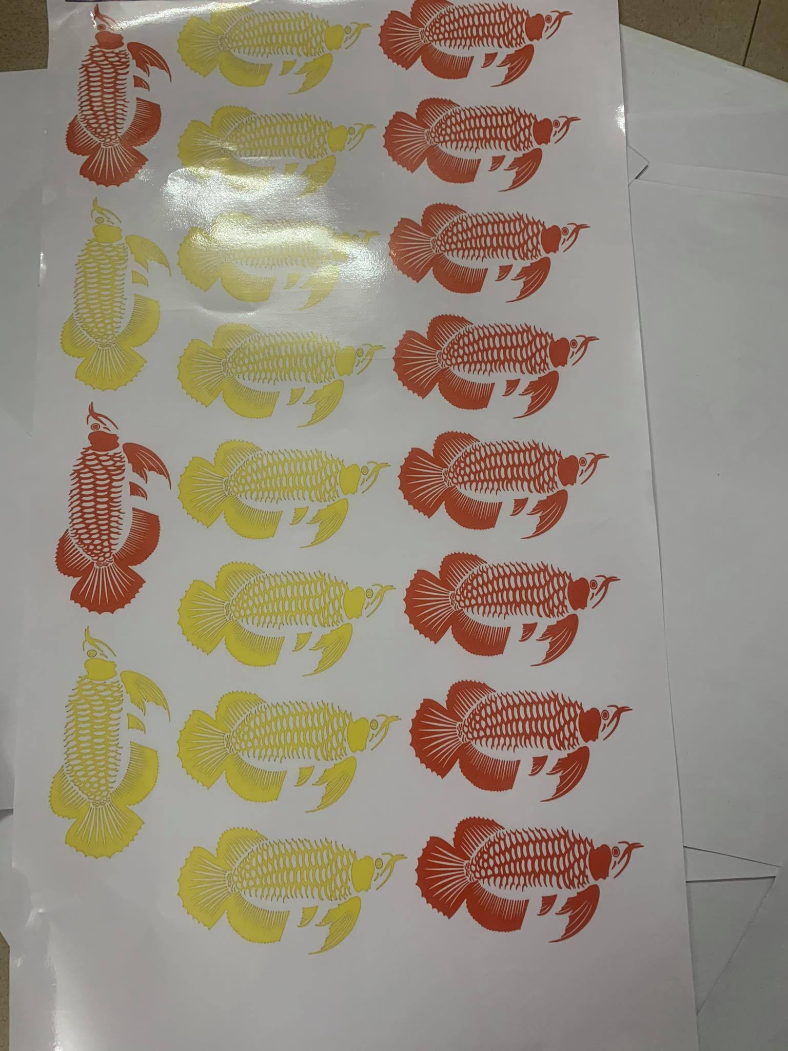 Tem dán hồ cá rồng ( có keo sẵn dán trực tiếp )