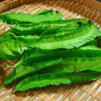 Hạt giống đậu rồng cao sản giòn ngọt