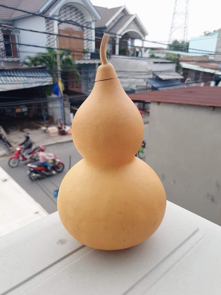 HẠT BẦU HỒ LÔ 10 hạt