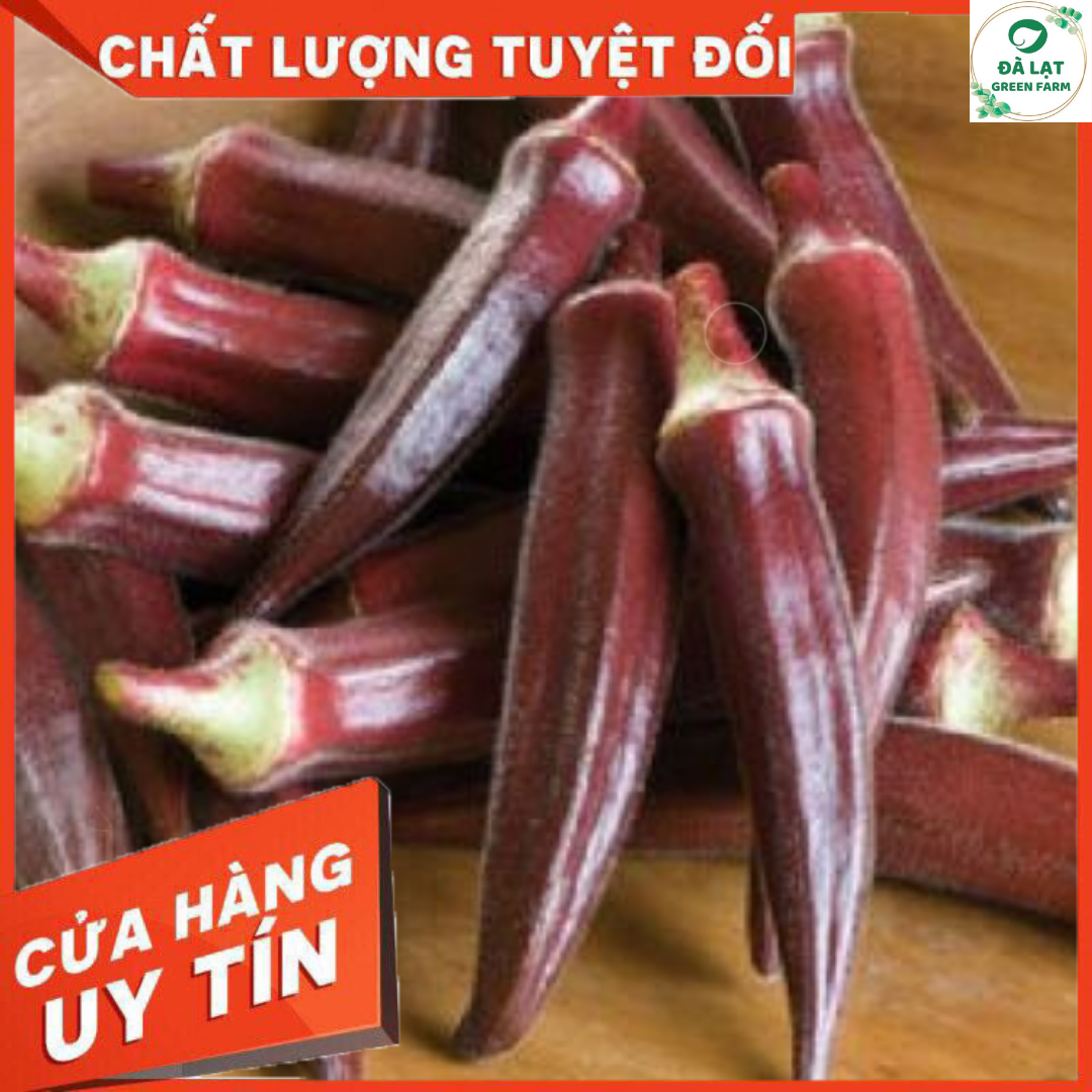 2GR_HẠT GIỐNG ĐẬU BẮP ĐỎ (NẢY MẦM CỰC CHUẨN)